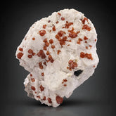 Red Garnet Crystals on White Albite